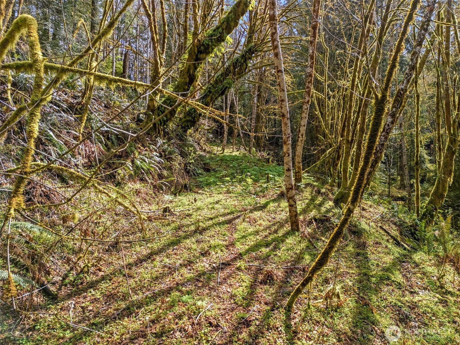 4 SE Sea Der Hok Lane Shelton WA 98584