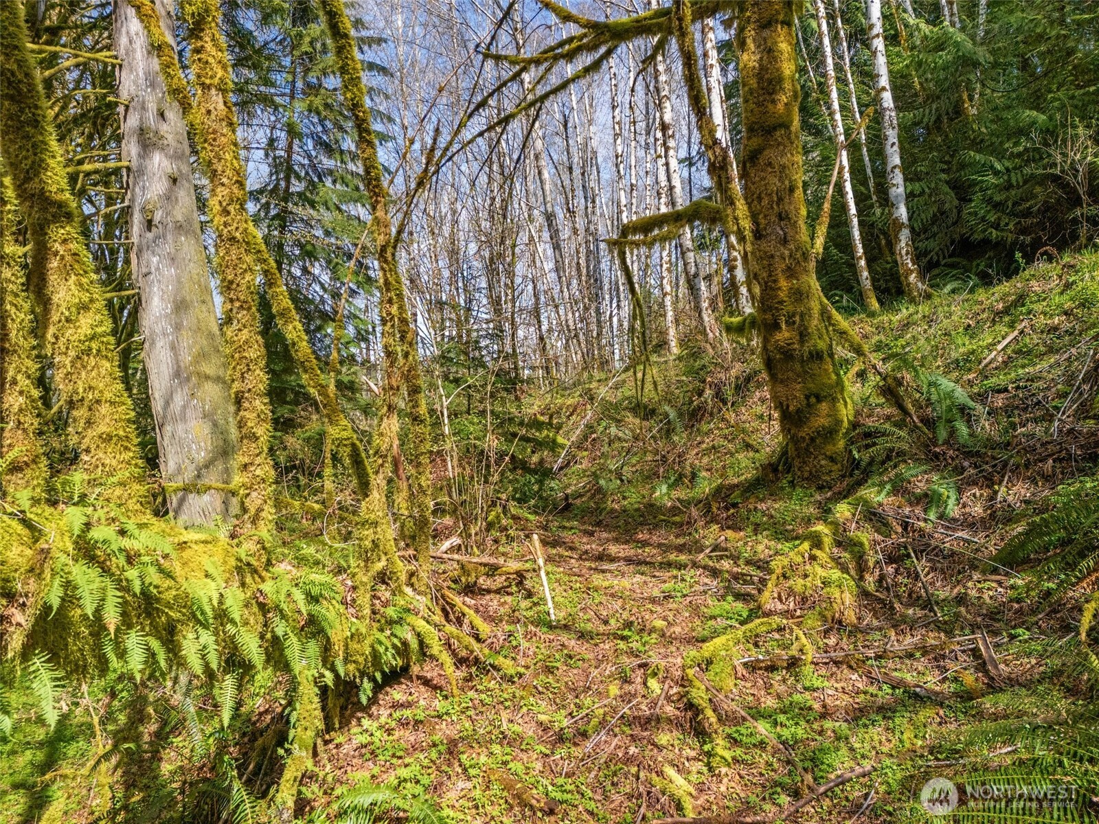 4 SE Sea Der Hok Lane Shelton WA 98584