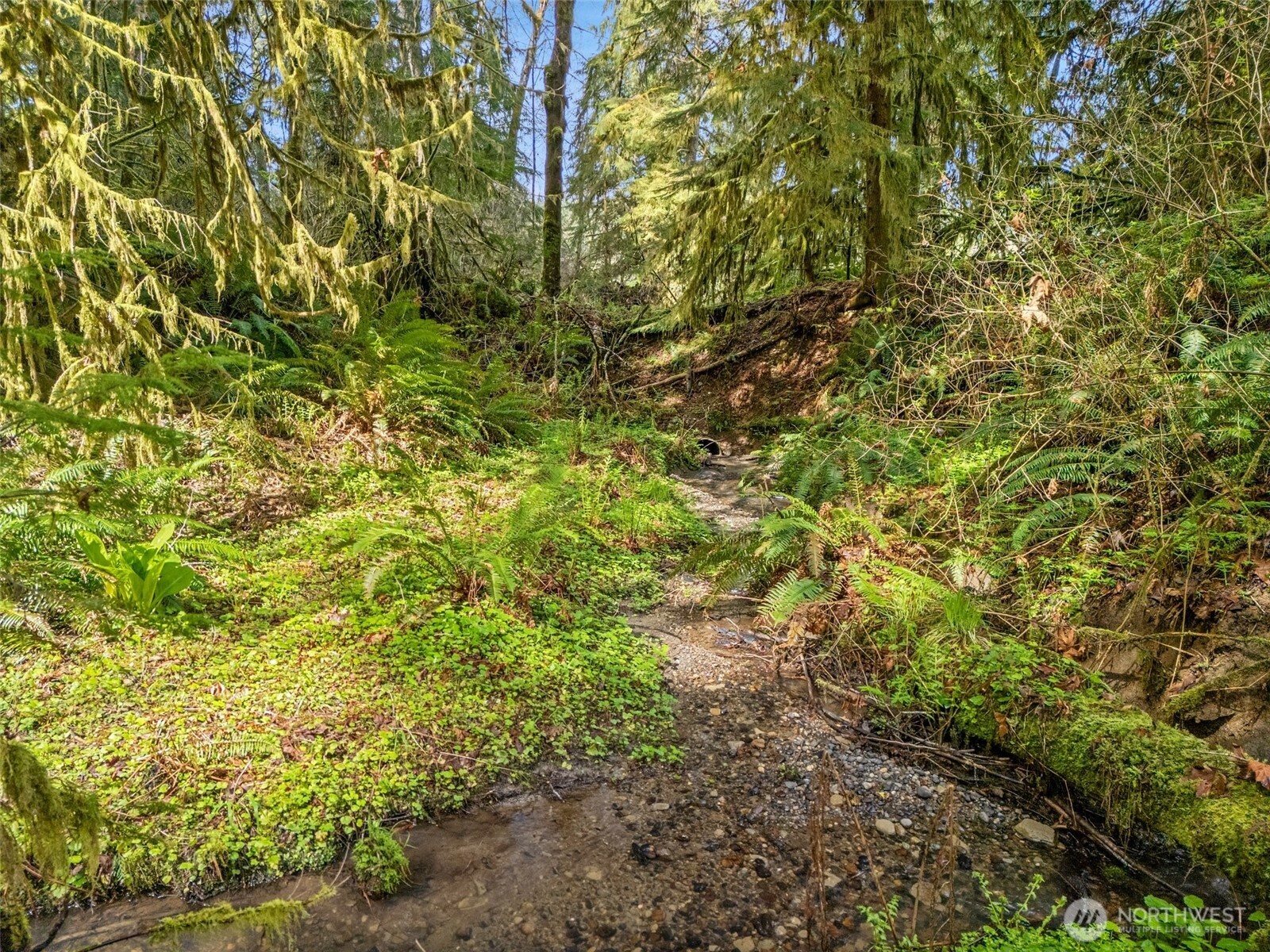 4 SE Sea Der Hok Lane Shelton WA 98584