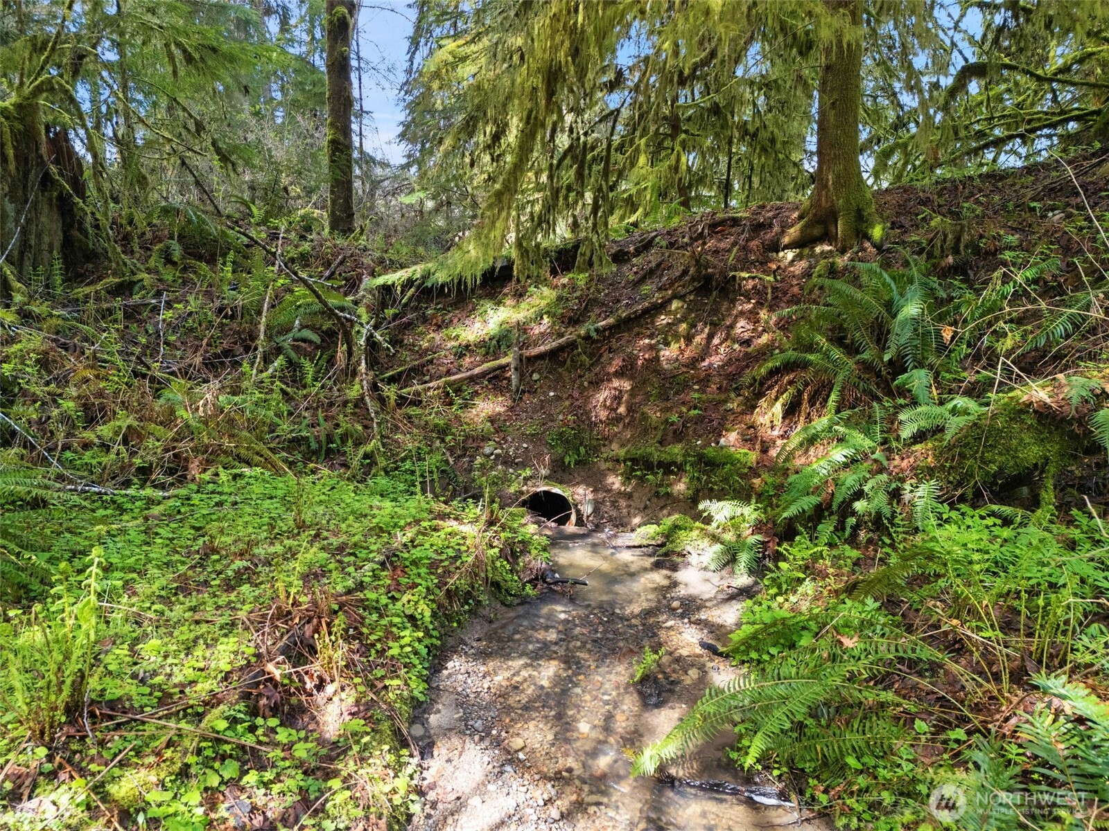 4 SE Sea Der Hok Lane Shelton WA 98584