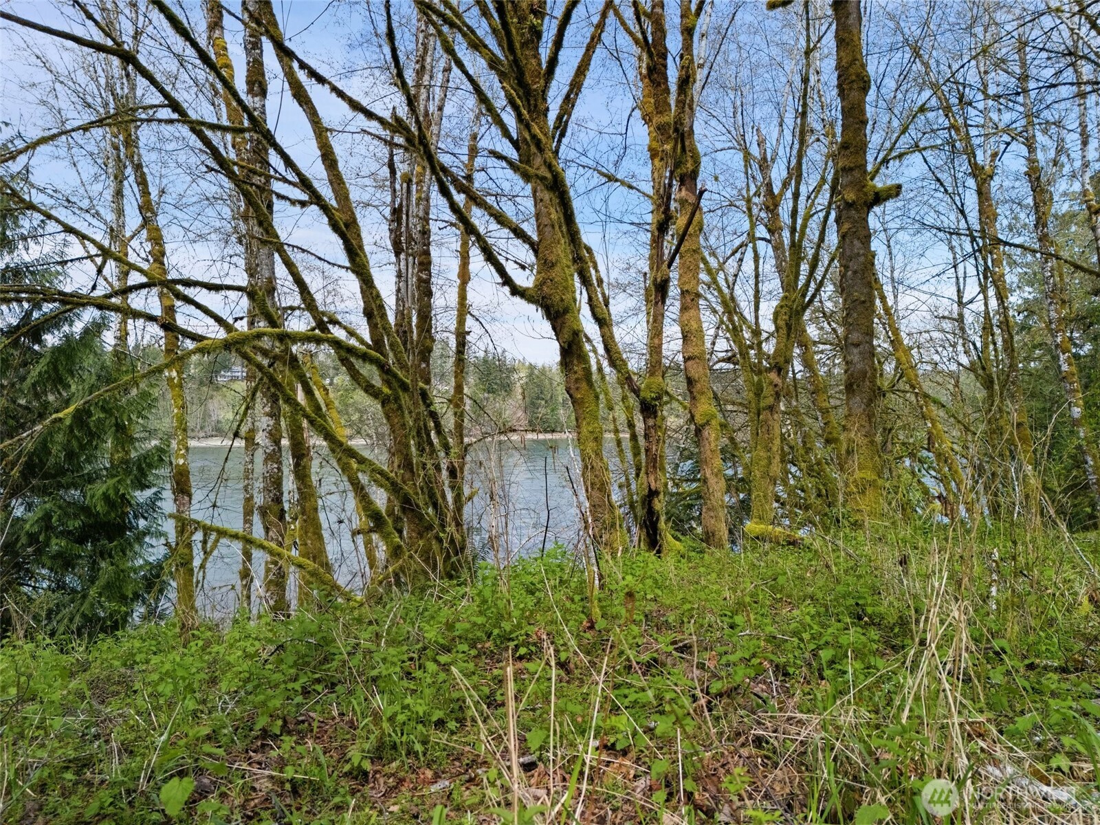 4 SE Sea Der Hok Lane Shelton WA 98584