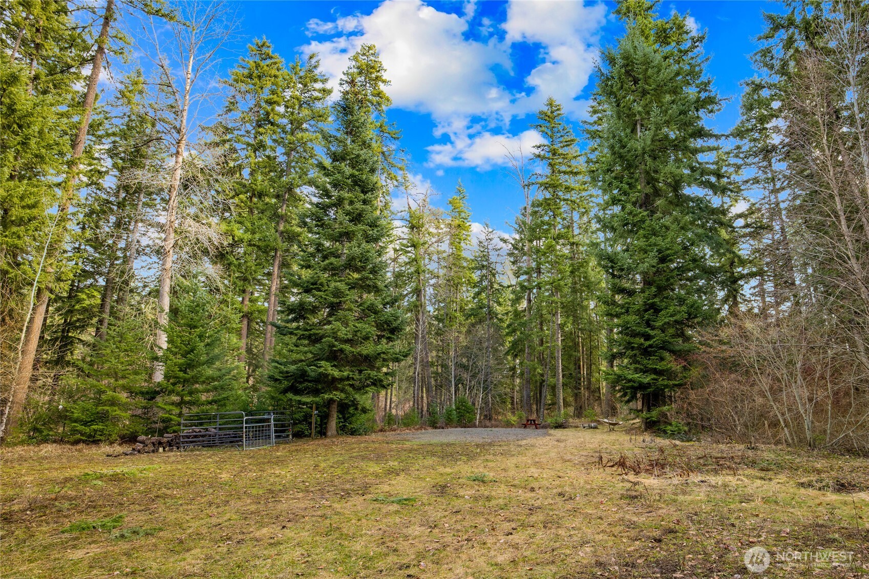 91 Blue Spruce Drive Easton WA 98925