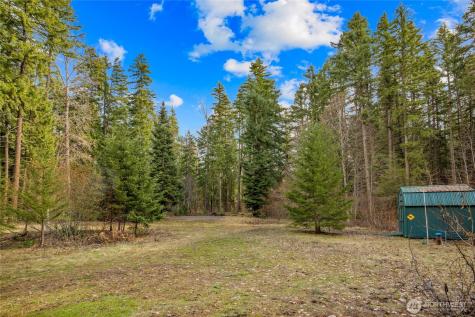 91 Blue Spruce Drive Easton WA 98925