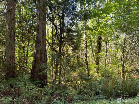 28897 Highway 101 Quilcene WA 98376