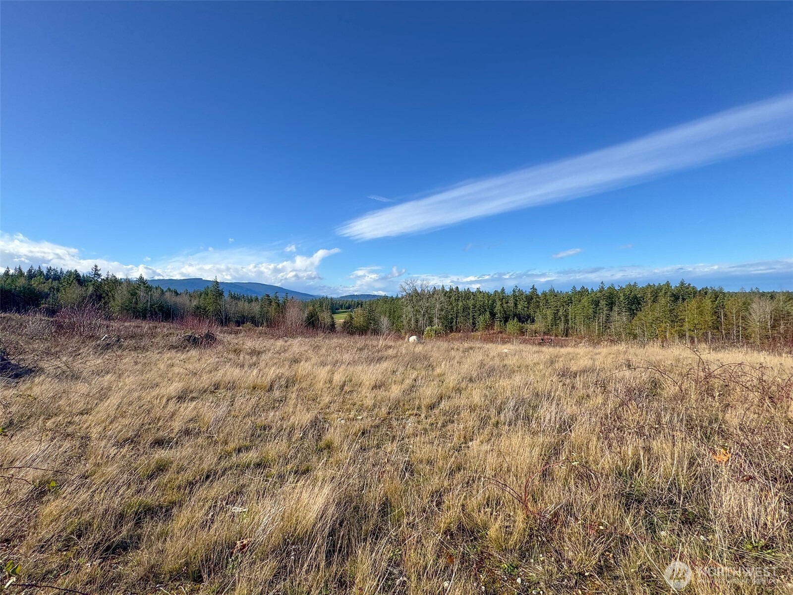2495 Chicken Coop Road Sequim WA 98382