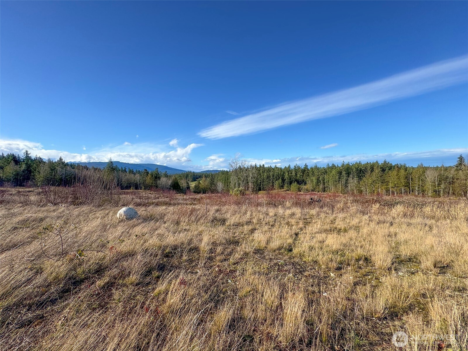 2495 Chicken Coop Road Sequim WA 98382