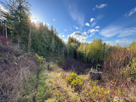 2495 Chicken Coop Road Sequim WA 98382