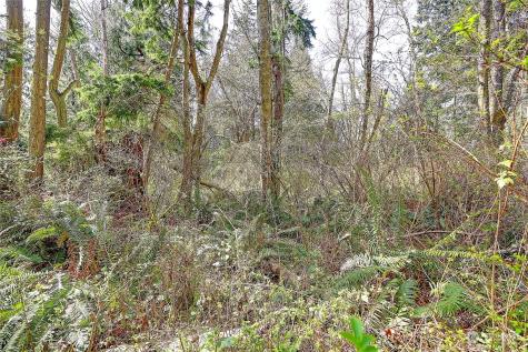 1802 Amber View Place Camano Island WA 98282
