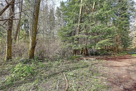1802 Amber View Place Camano Island WA 98282