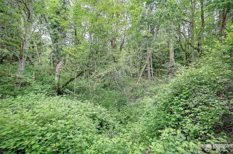1802 Amber View Place Camano Island WA 98282