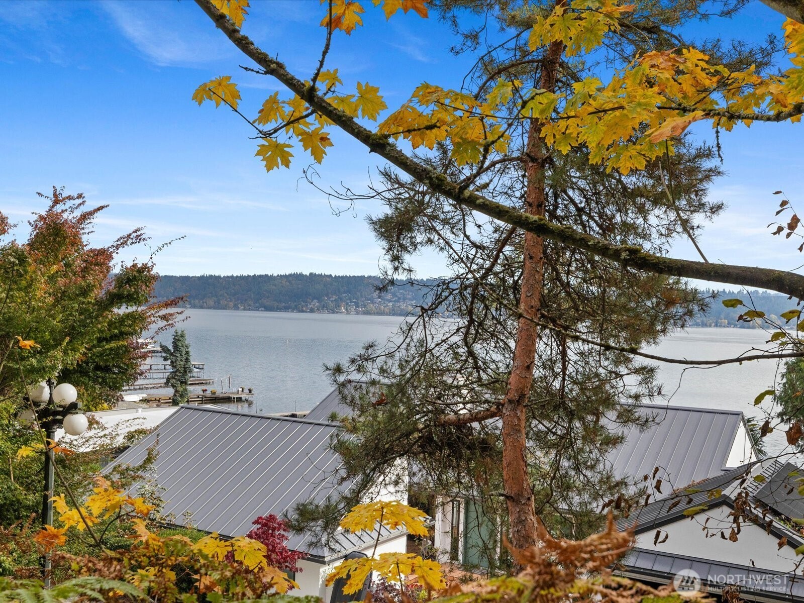 445 W Lake Sammamish Parkway SE Bellevue WA 98008