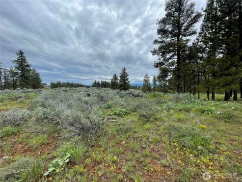 114 Falcon Ridge Road East Wenatchee WA 98802