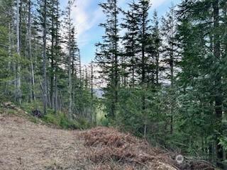 0 Vacant Land 343rd Avenue SE Ravensdale WA 98051