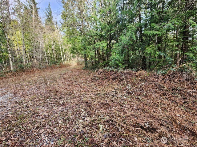 0 Vacant Land 343rd Avenue SE Ravensdale WA 98051