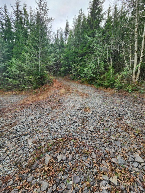 0 Vacant Land 343rd Avenue SE Ravensdale WA 98051