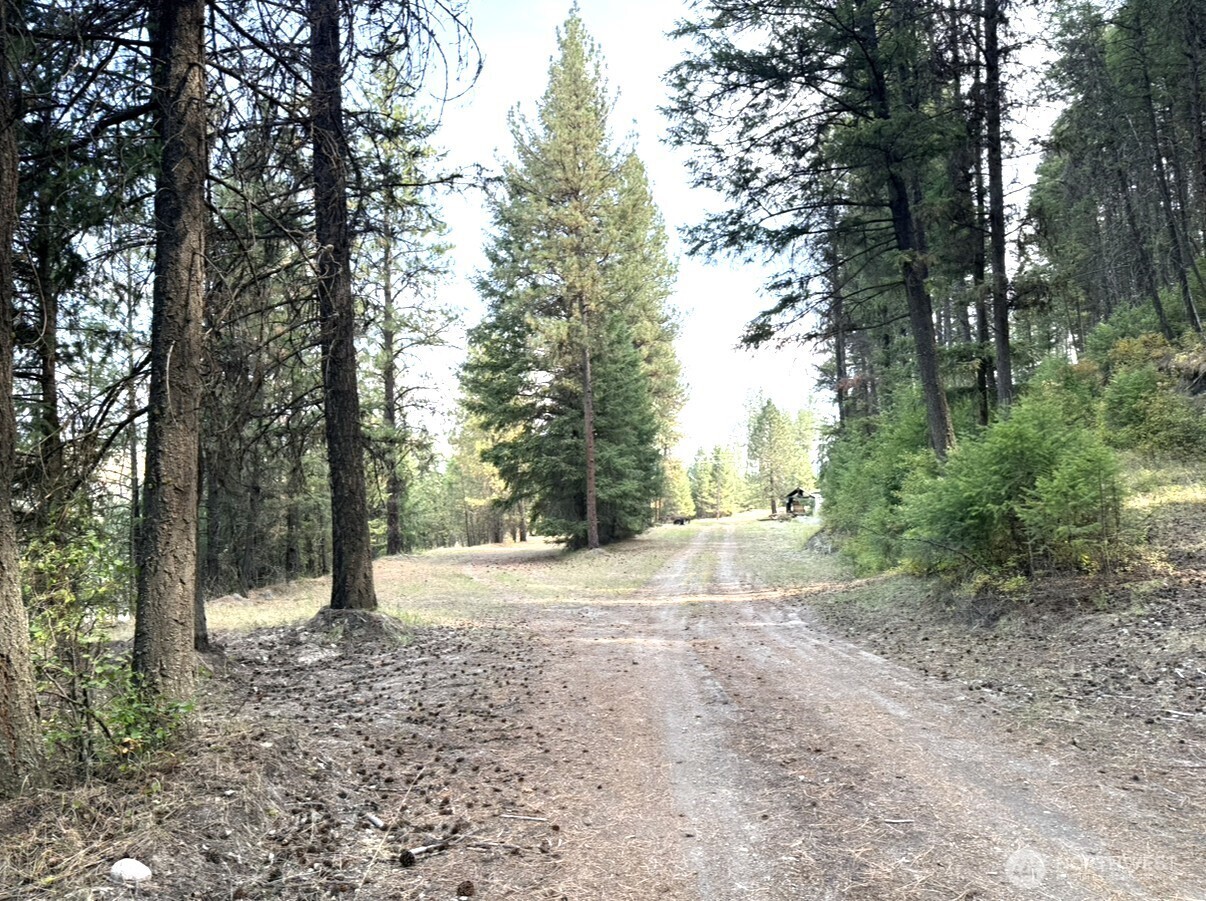 30543 Hwy 20 E Republic WA 99166