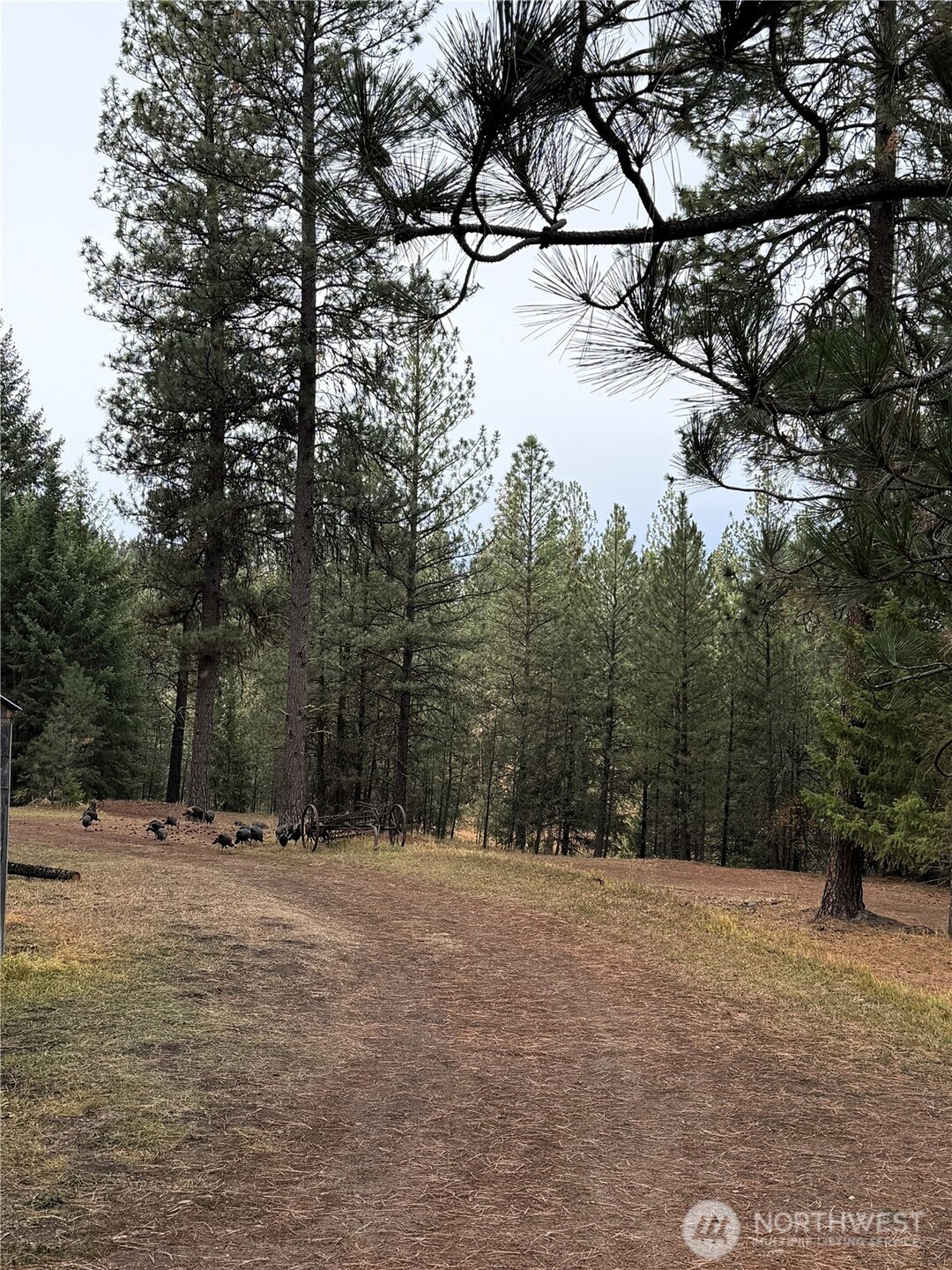 30543 Hwy 20 E Republic WA 99166