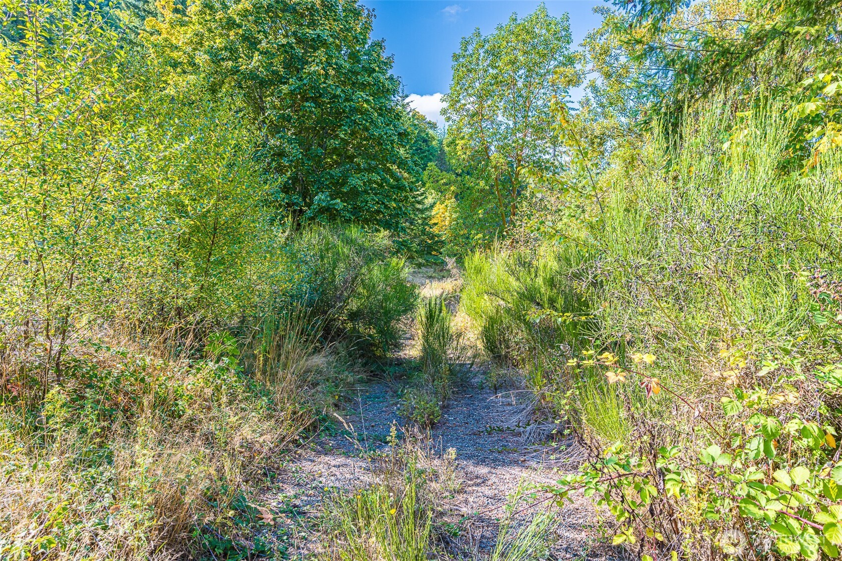 112 Chasewood Drive Port Angeles WA 98363