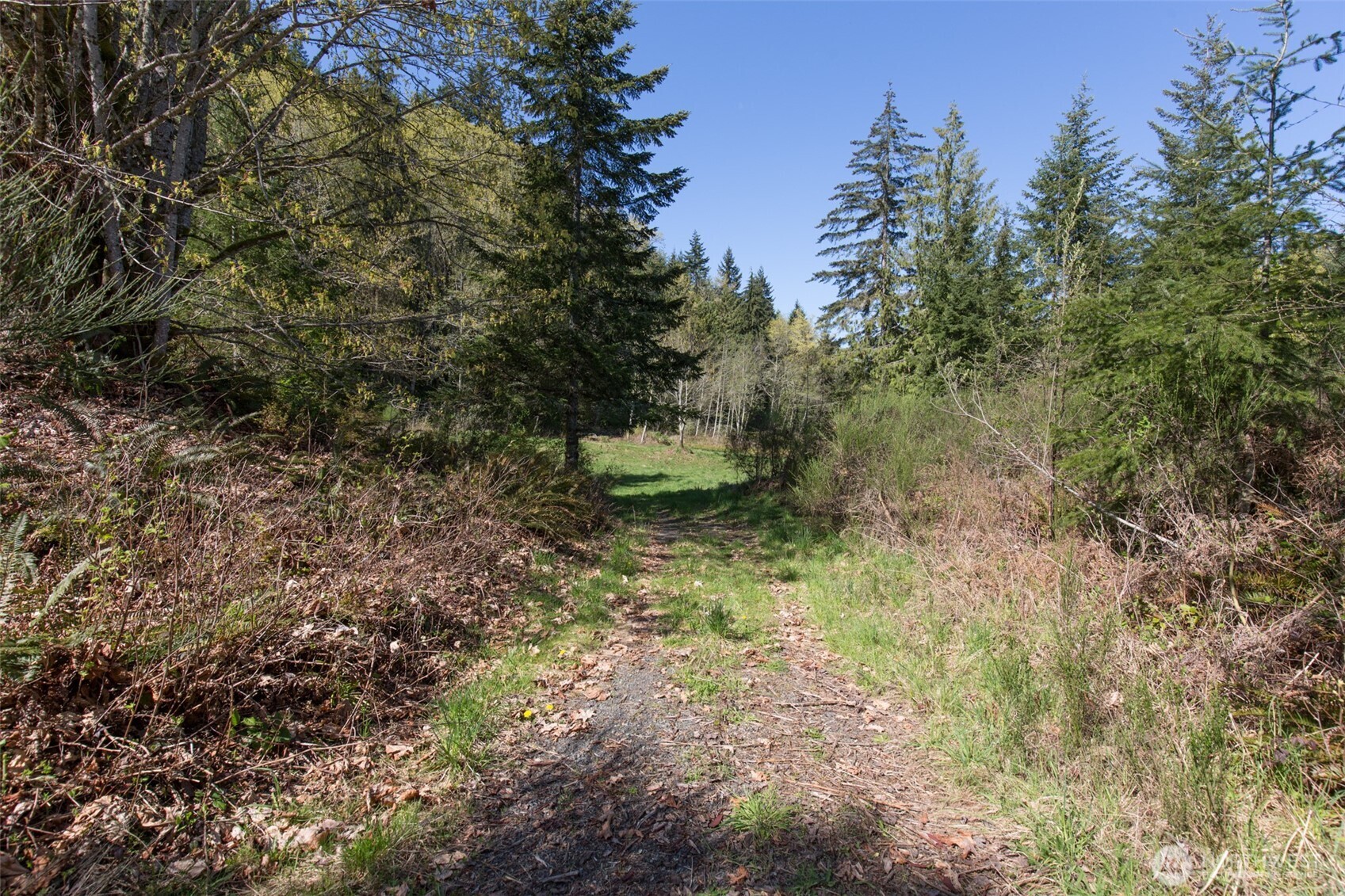 112 Chasewood Drive Port Angeles WA 98363