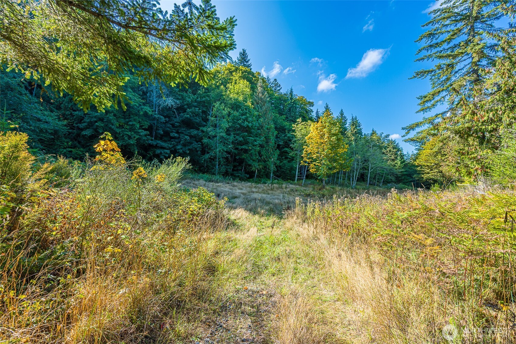 112 Chasewood Drive Port Angeles WA 98363