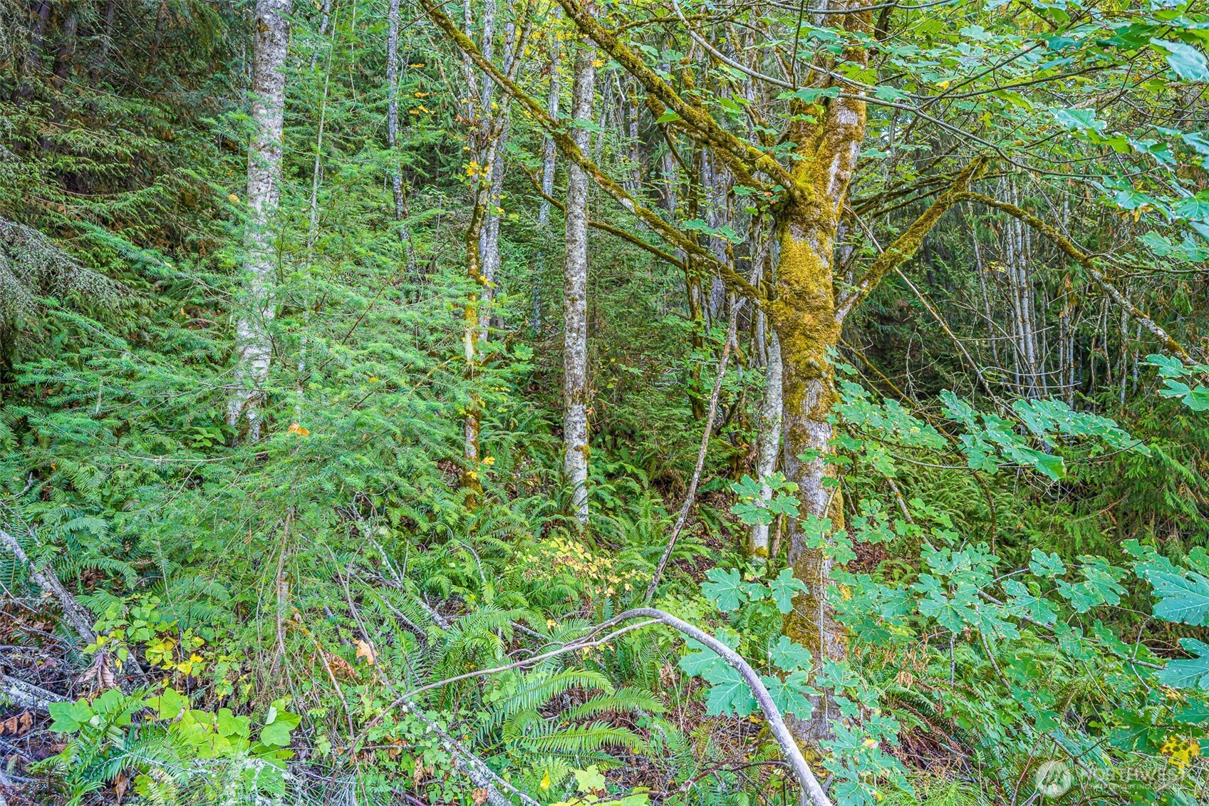 112 Chasewood Drive Port Angeles WA 98363