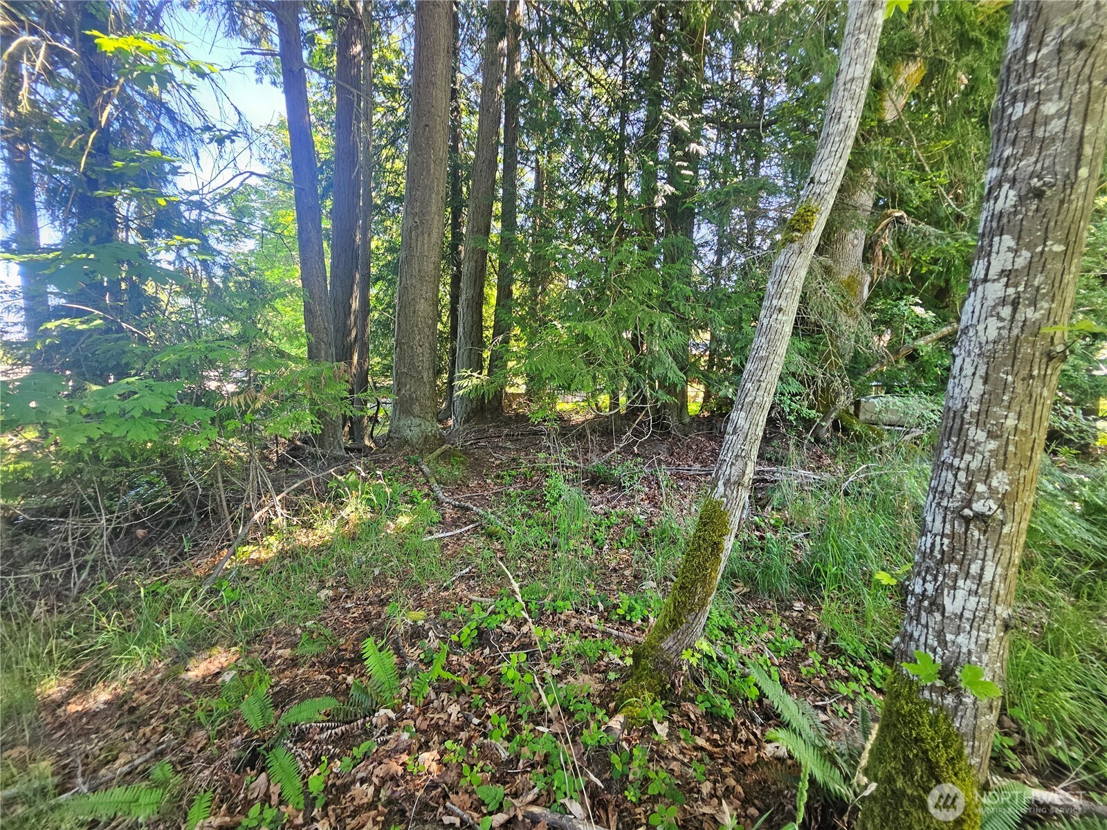 513 E Rose Street Port Angeles WA 98362