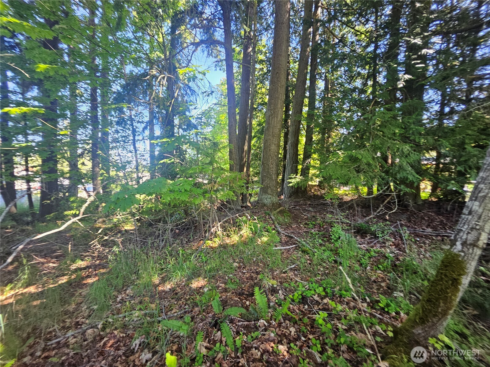 513 E Rose Street Port Angeles WA 98362