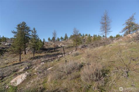 223 Cameron Lake Loop Okanogan WA 98840