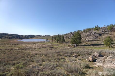223 Cameron Lake Loop Okanogan WA 98840