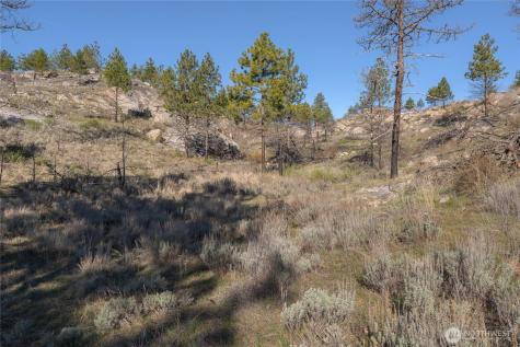 223 Cameron Lake Loop Okanogan WA 98840