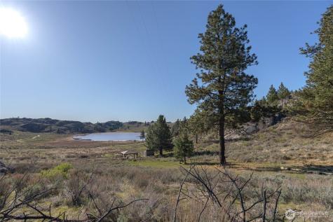 223 Cameron Lake Loop Okanogan WA 98840