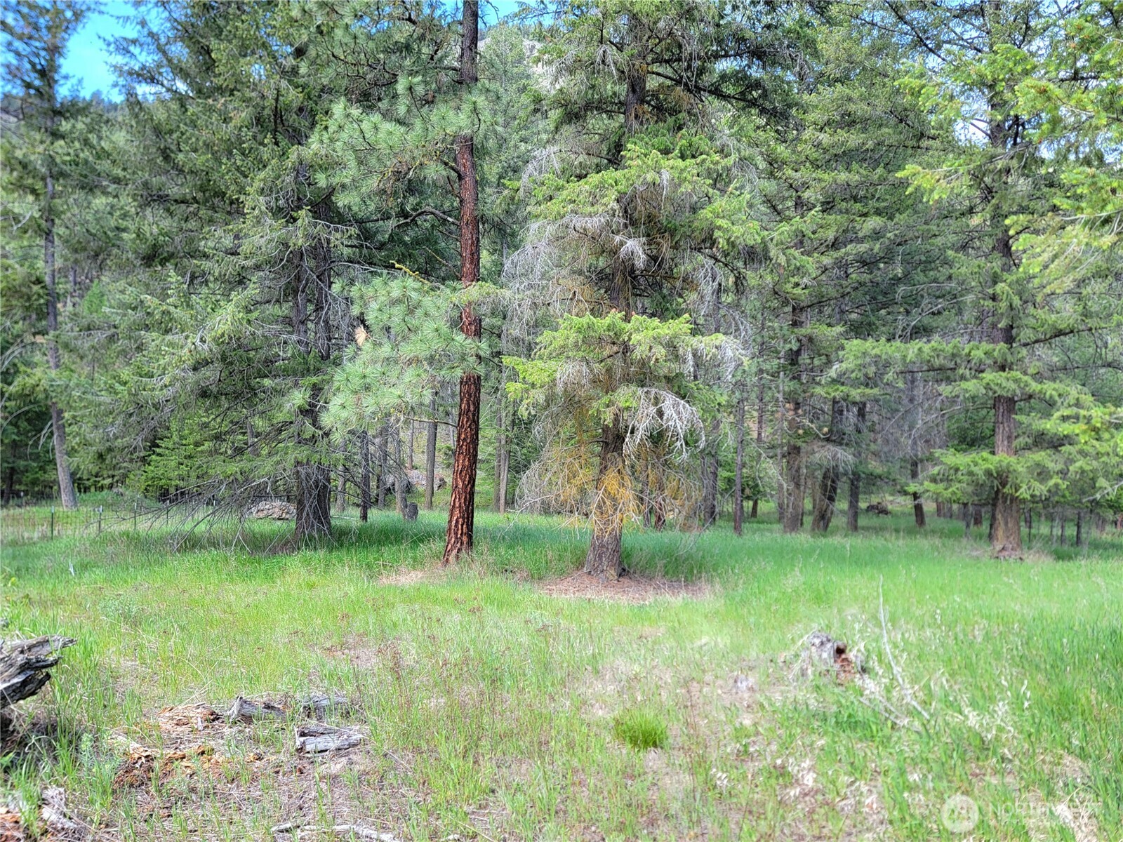 0 Evergreen Drive Curlew WA 99118