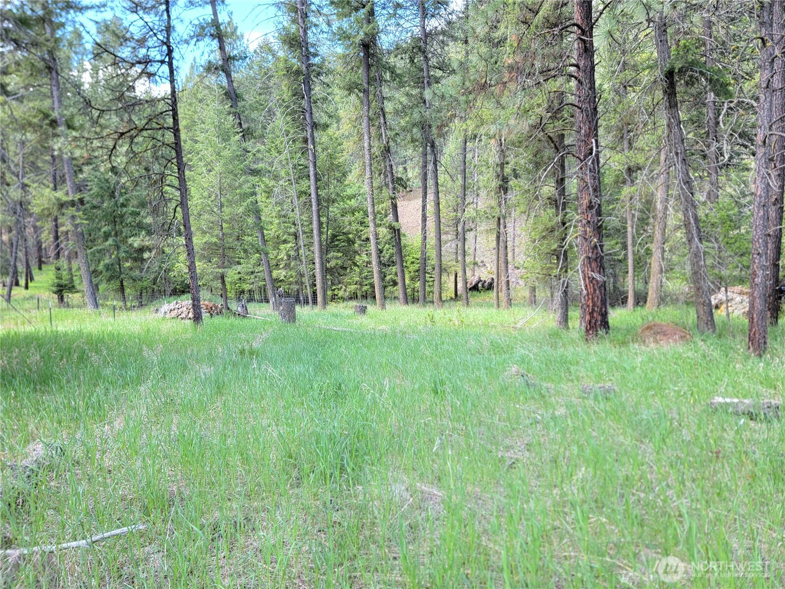 0 Evergreen Drive Curlew WA 99118