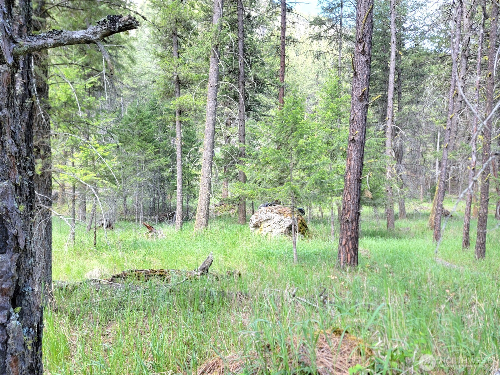 0 Evergreen Drive Curlew WA 99118