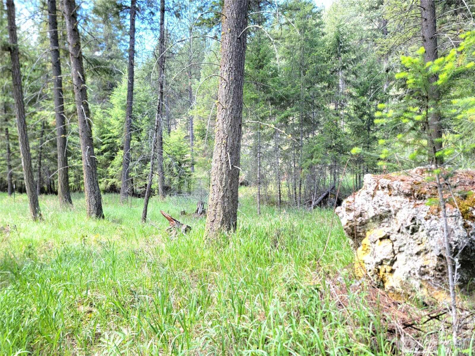 0 Evergreen Drive Curlew WA 99118