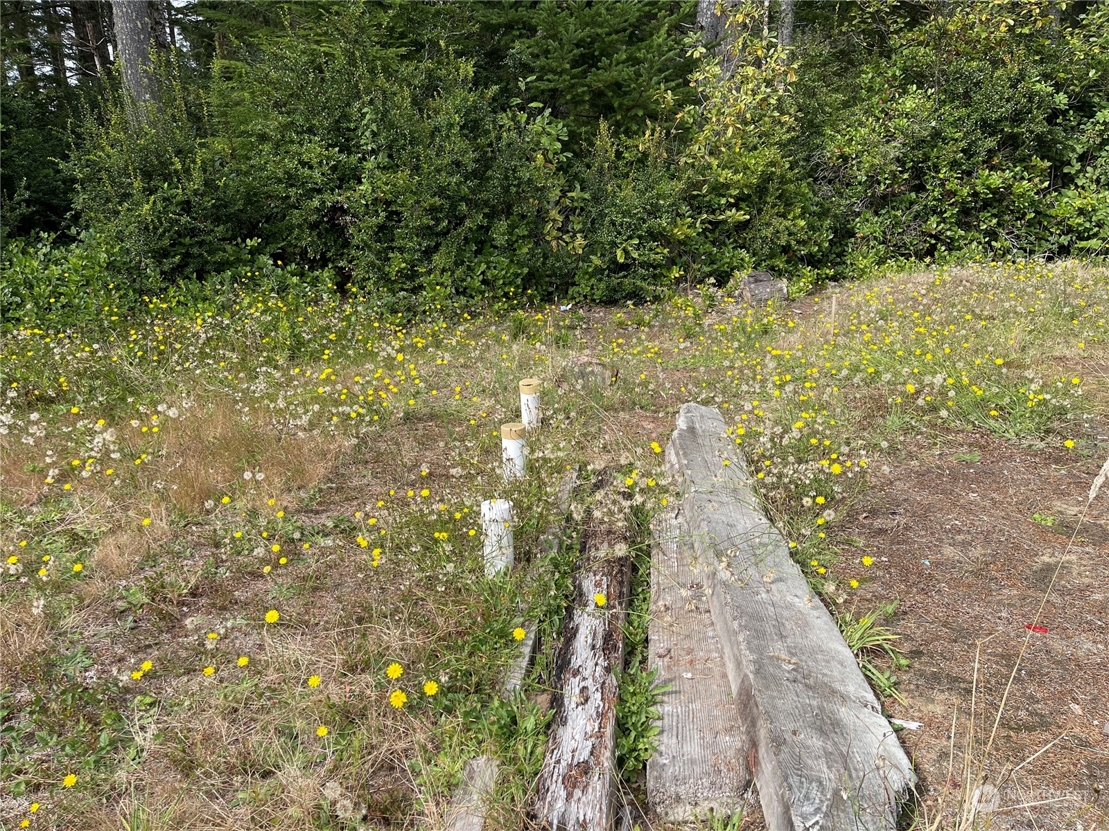 21517 Birch Place Ocean Park WA 98640