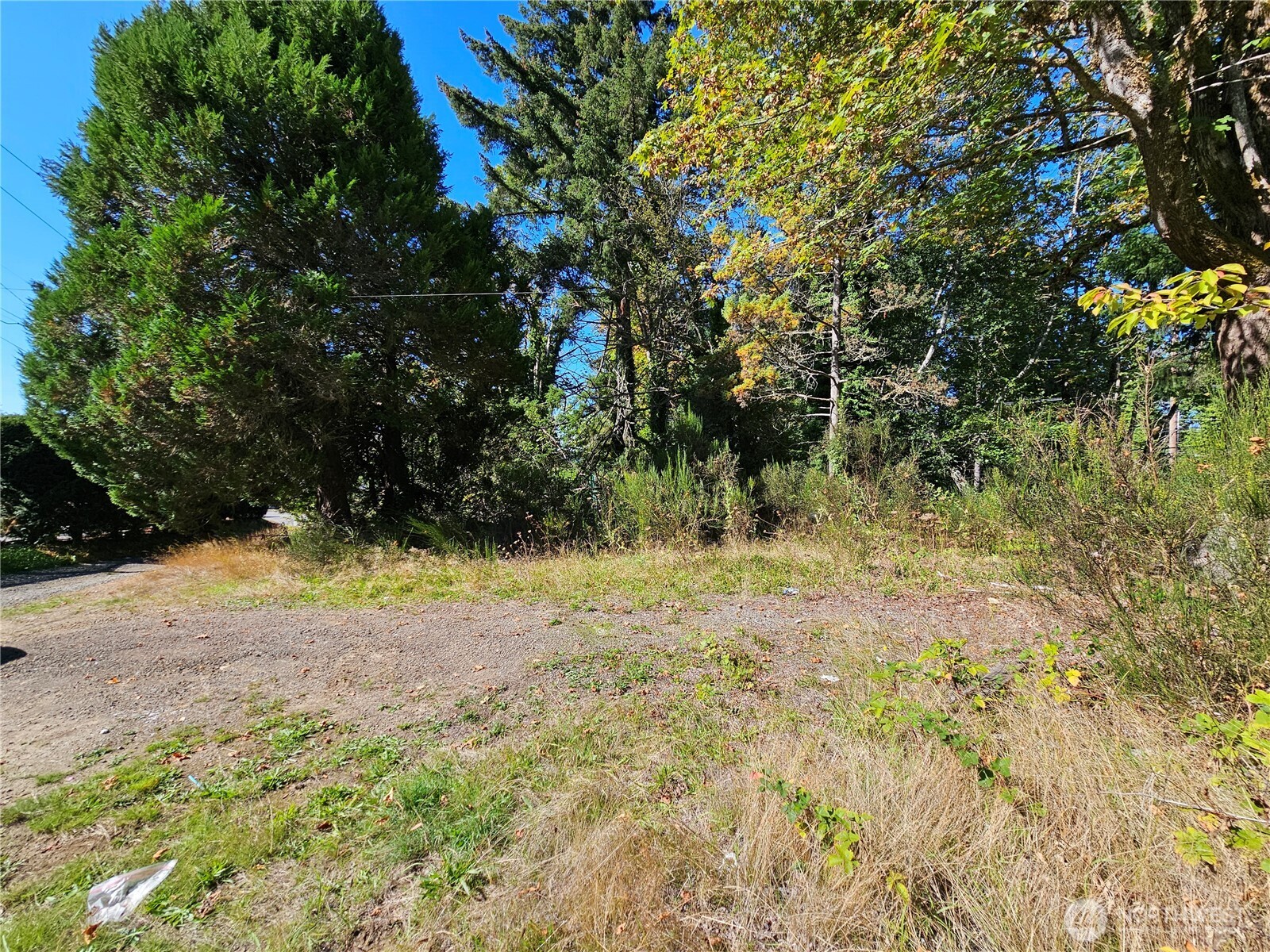 22550 NE Sr-3 Highway Belfair WA 98528