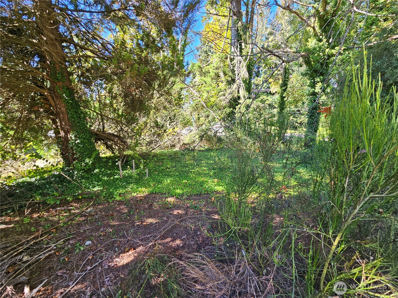 22550 NE Sr-3 Highway Belfair WA 98528