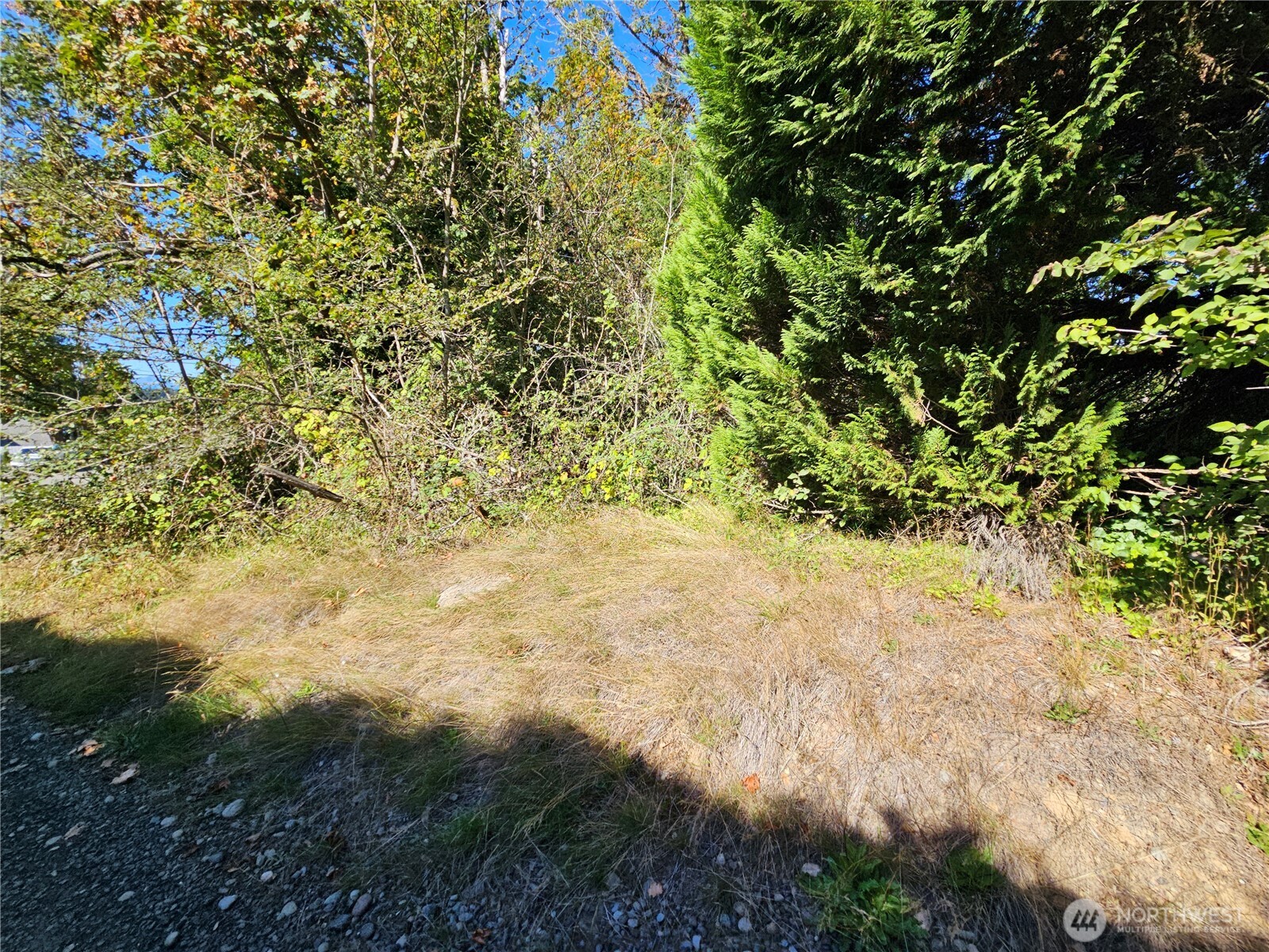 22550 NE Sr-3 Highway Belfair WA 98528