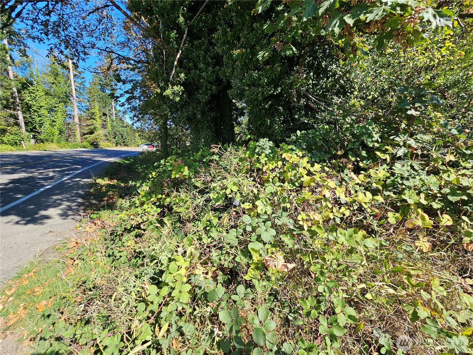22550 NE Sr-3 Highway Belfair WA 98528
