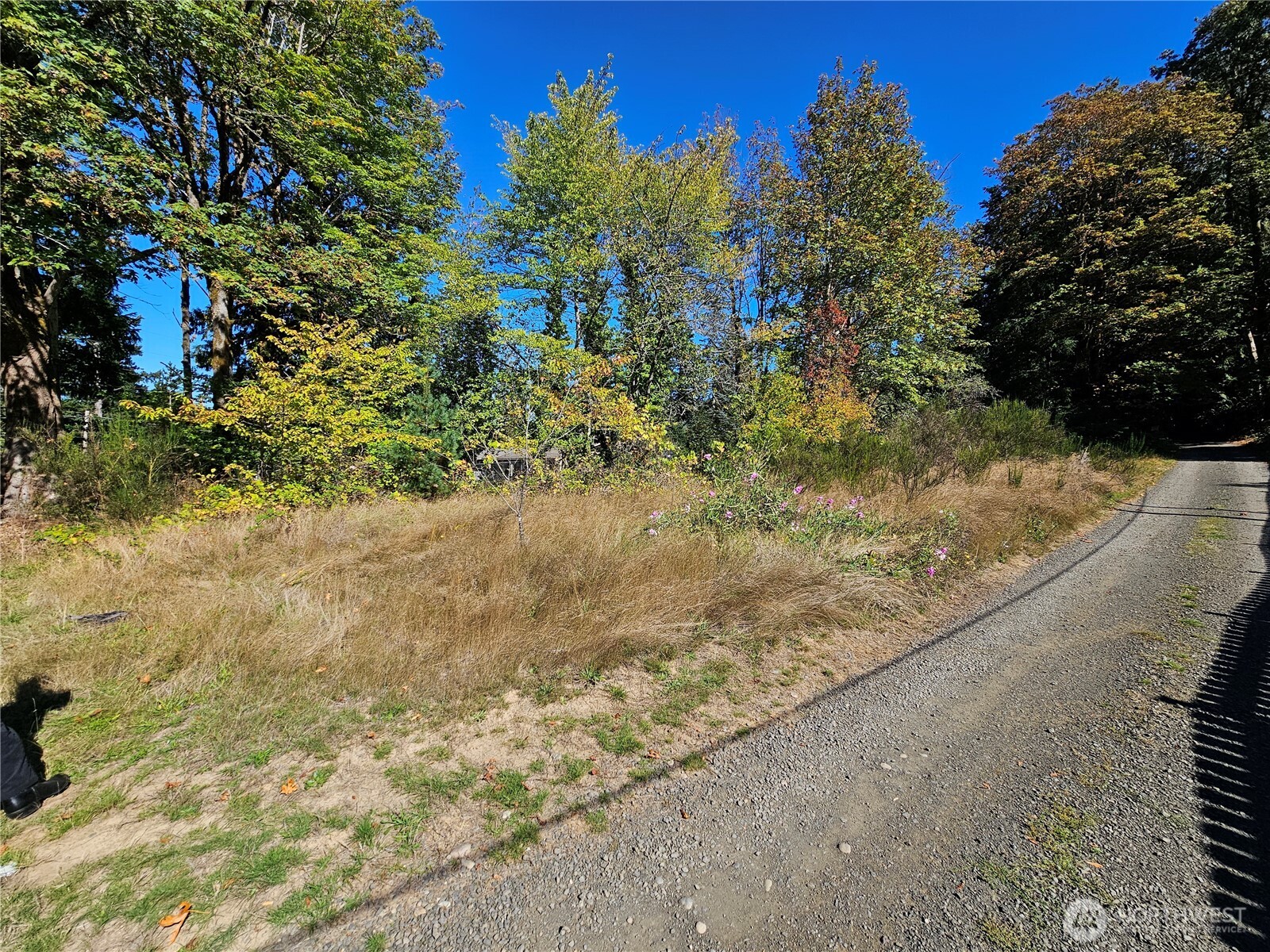 22550 NE Sr-3 Highway Belfair WA 98528