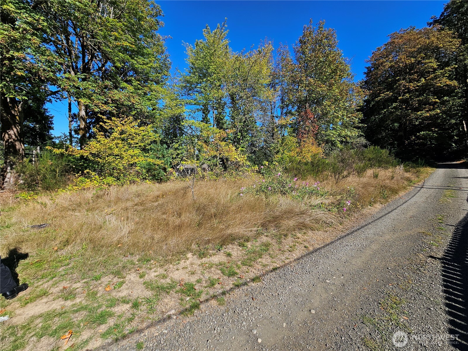 22550 NE Sr-3 Highway Belfair WA 98528
