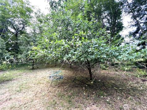 3910 E Harstine Island Road S Shelton WA 98584