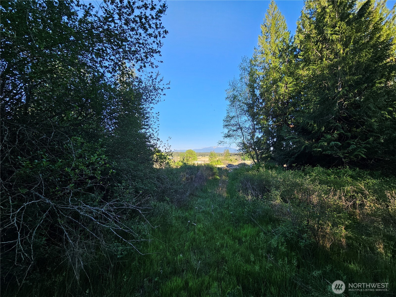 2 E Eloika Lake Road Deer Park WA 99006