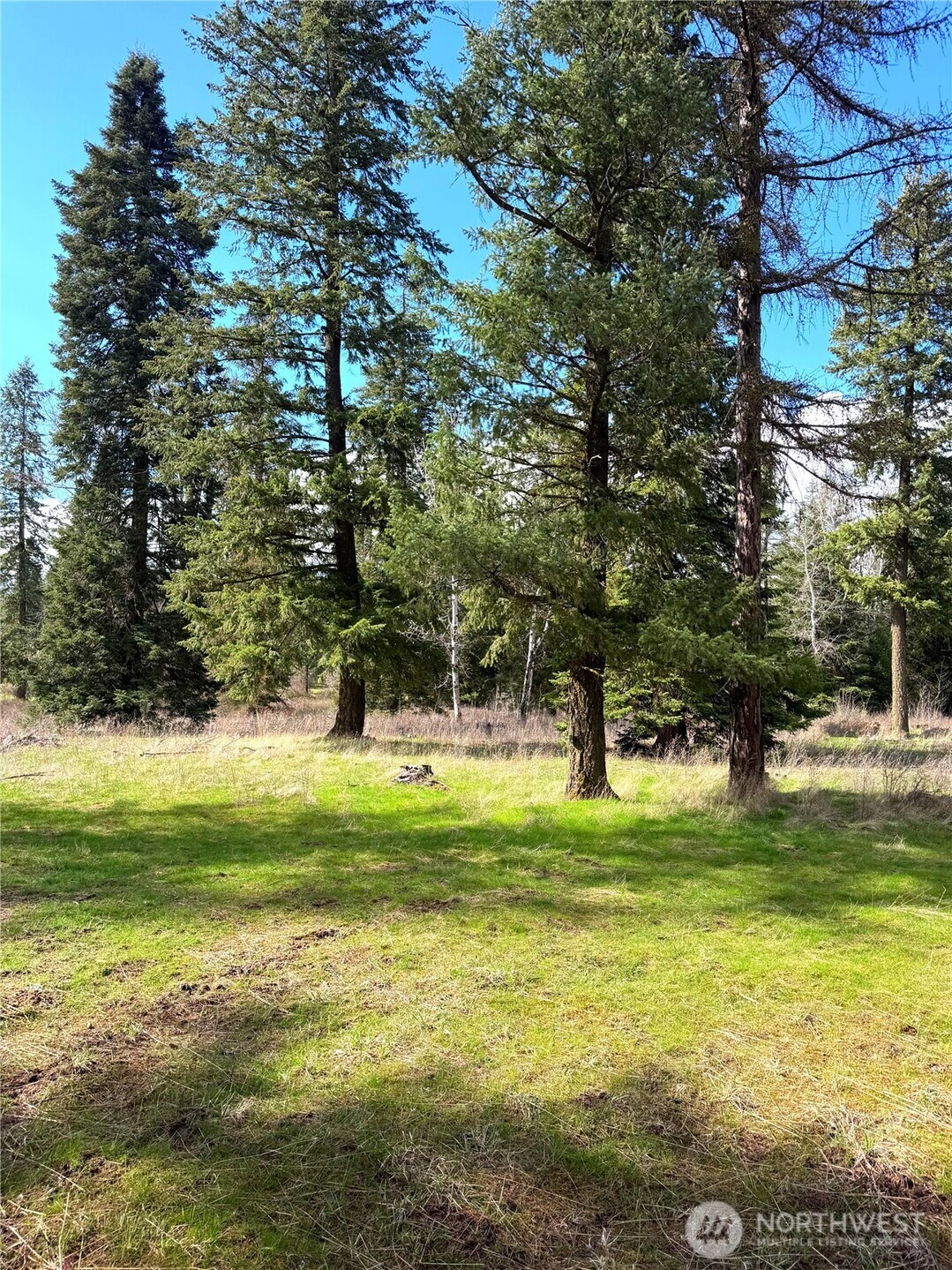 2 E Eloika Lake Road Deer Park WA 99006
