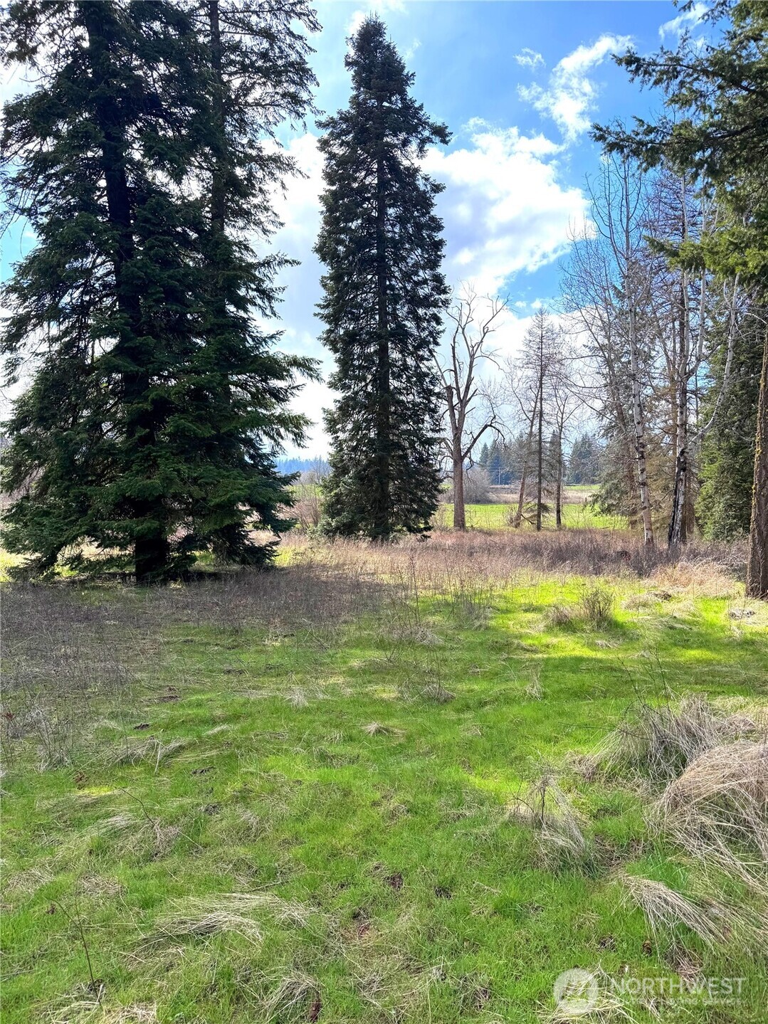 2 E Eloika Lake Road Deer Park WA 99006