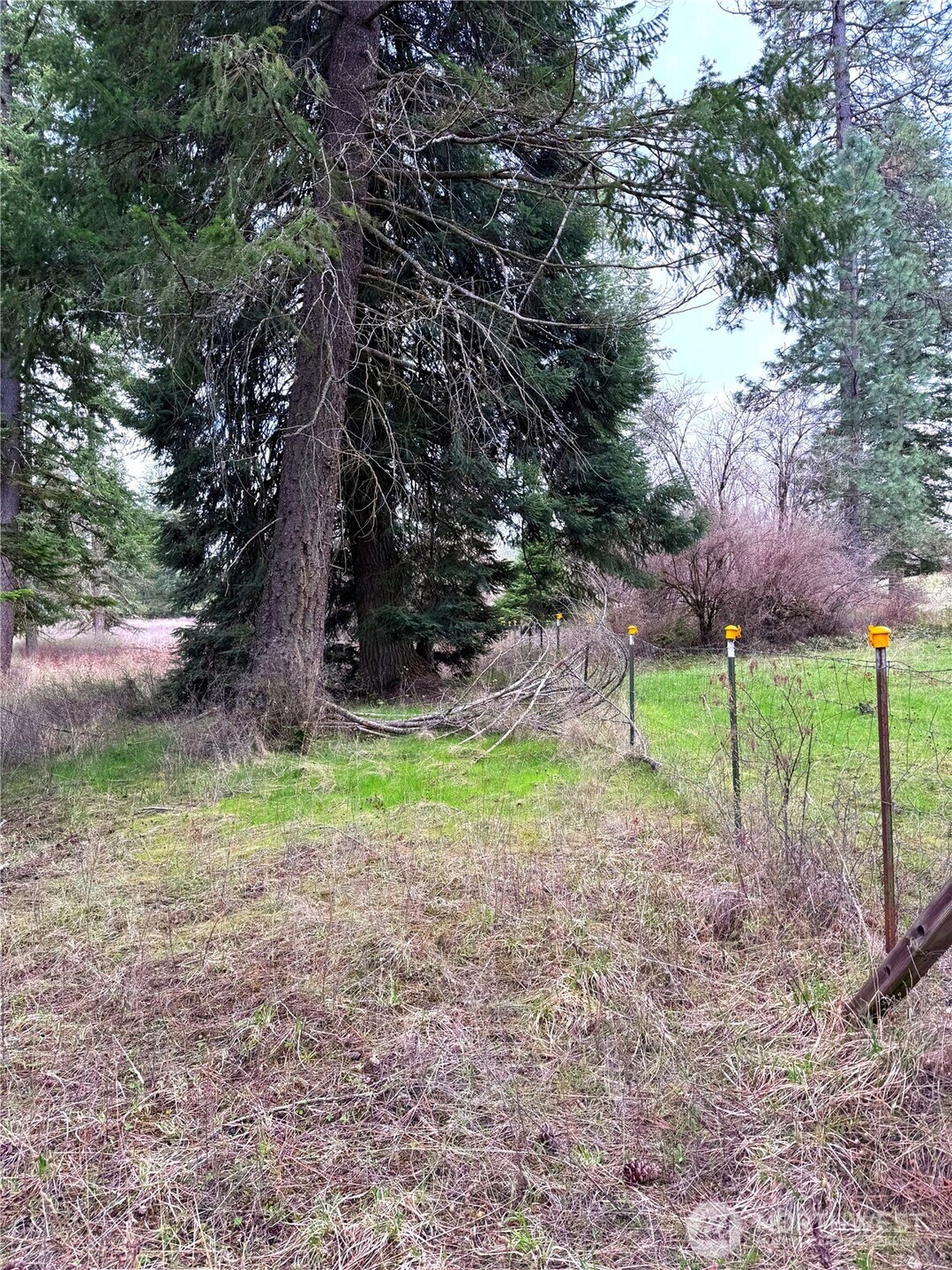 2 E Eloika Lake Road Deer Park WA 99006