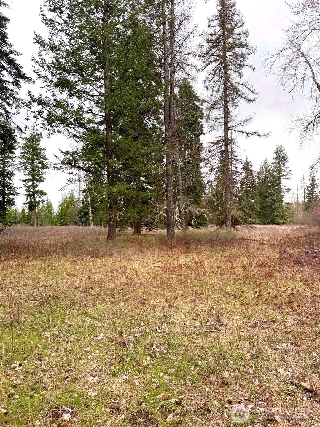 2 E Eloika Lake Road Deer Park WA 99006