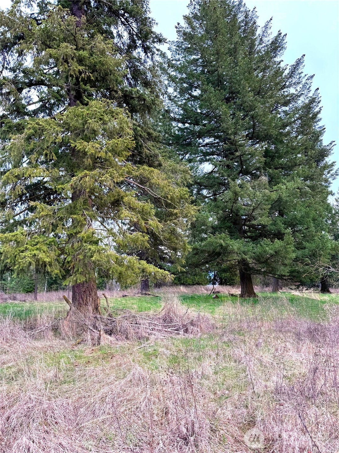 2 E Eloika Lake Road Deer Park WA 99006