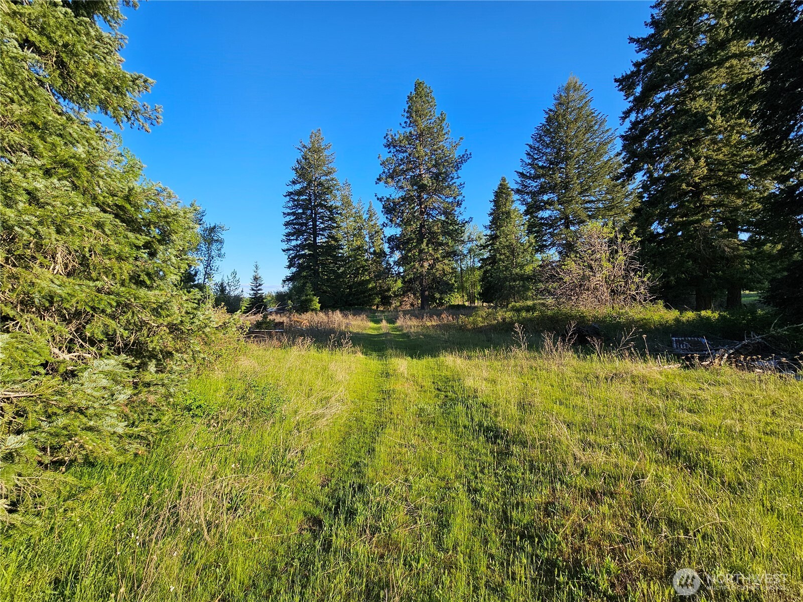 2 E Eloika Lake Road Deer Park WA 99006